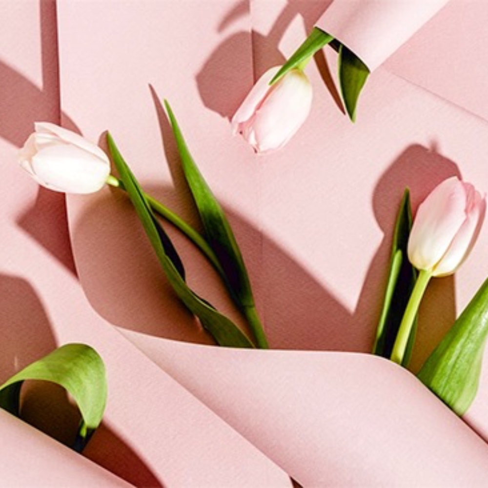 Meet your Posher, Anaë